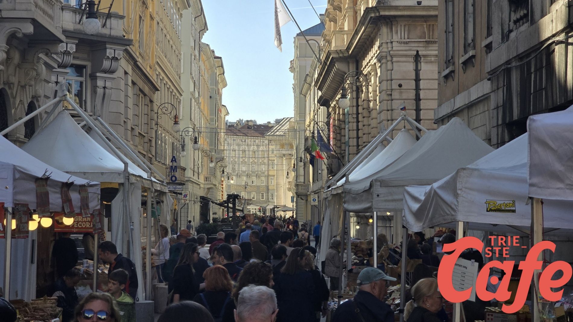 Overtourism a Trieste? Federalberghi: “La vera sfida è organizzare meglio i flussi turistici” (VIDEO)